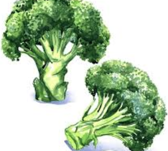 Fresh Organic Broccoli Crowns