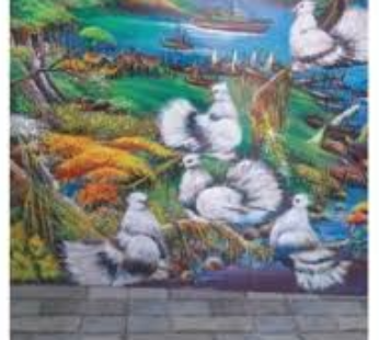 Harmoni Meditasi Monokrom